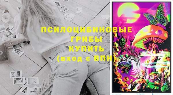 соль ск Абаза