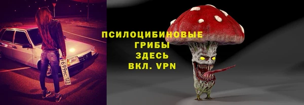 ПСИЛОЦИБИНОВЫЕ ГРИБЫ Алзамай