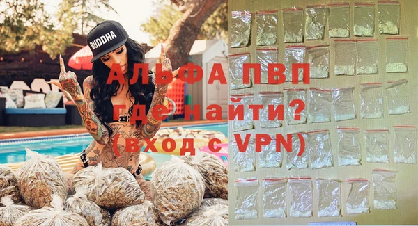 ГАЛЛЮЦИНОГЕННЫЕ ГРИБЫ Ельня