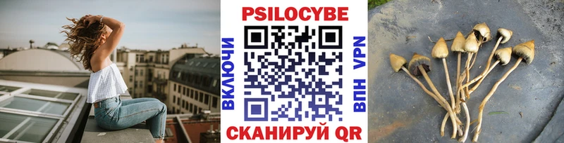 Галлюциногенные грибы мицелий  Шилка 